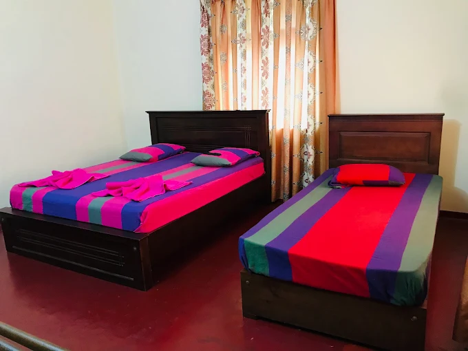 Solid Pamunuwa - Image 2