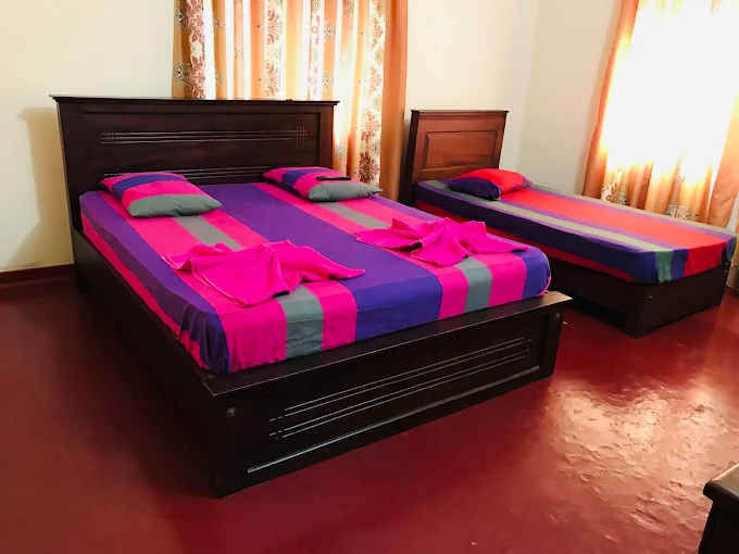 Solid Pamunuwa - Image 3